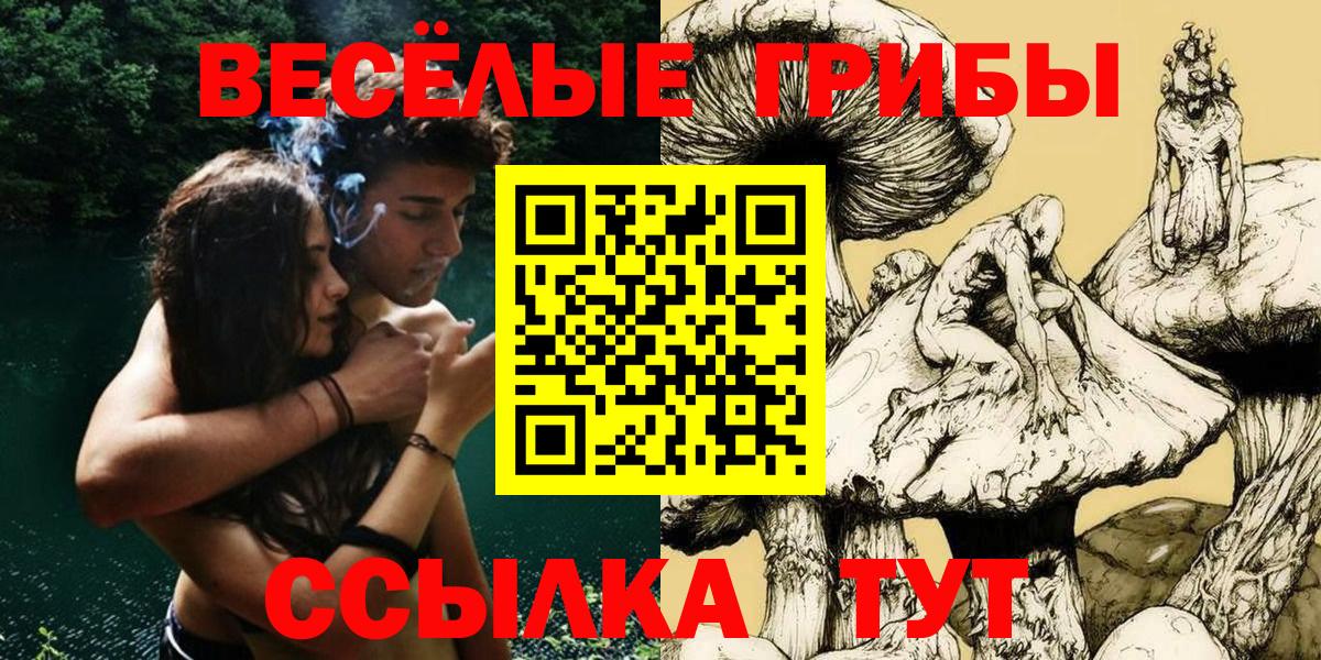 где найти наркотики  Вход с VPN  Ставрополь  Псилоцибиновые грибы GOLDEN TEACHER 