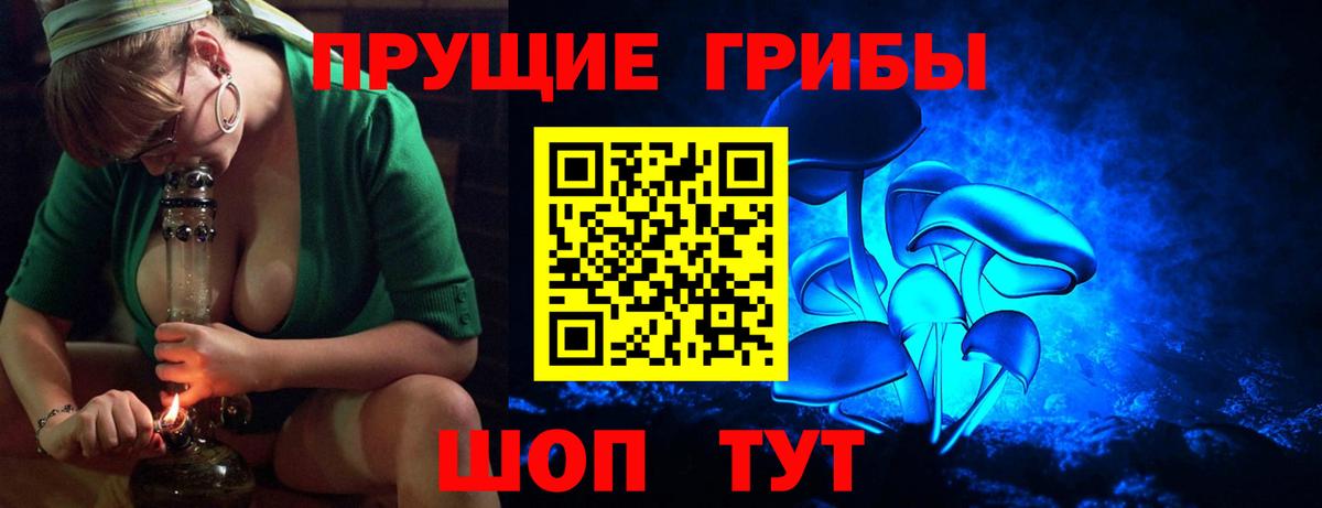 Галлюциногенные грибы Cubensis Ставрополь